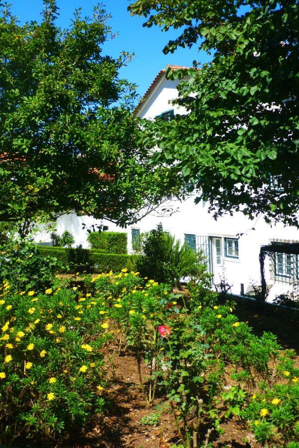 Comfy Sintra Bed & Breakfast Dış mekan fotoğraf